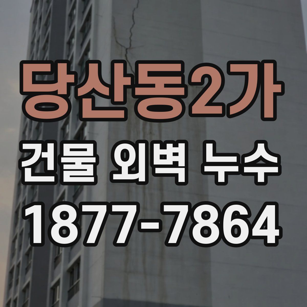 당산동2가 건물 외벽 누수