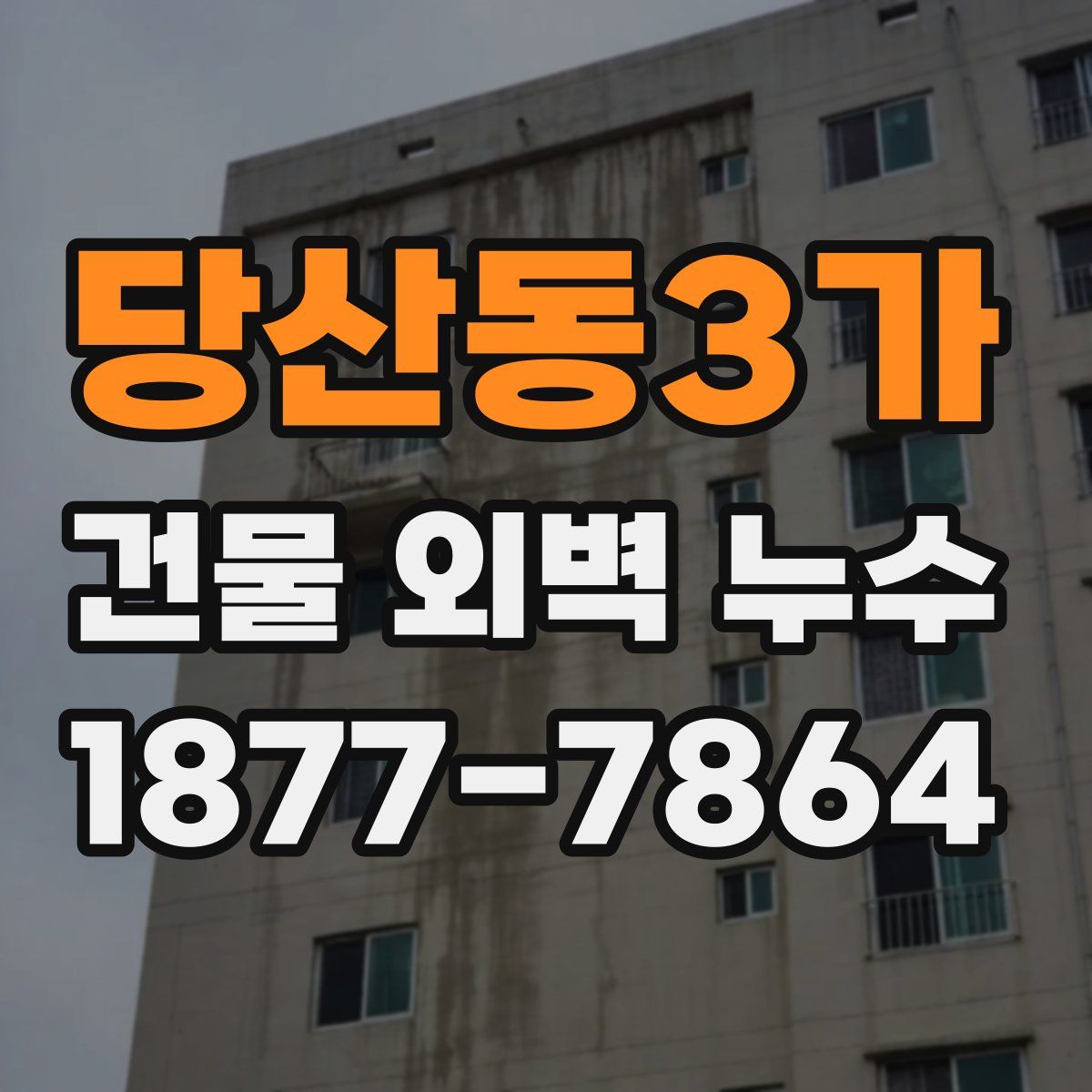 당산동3가 건물 외벽 누수