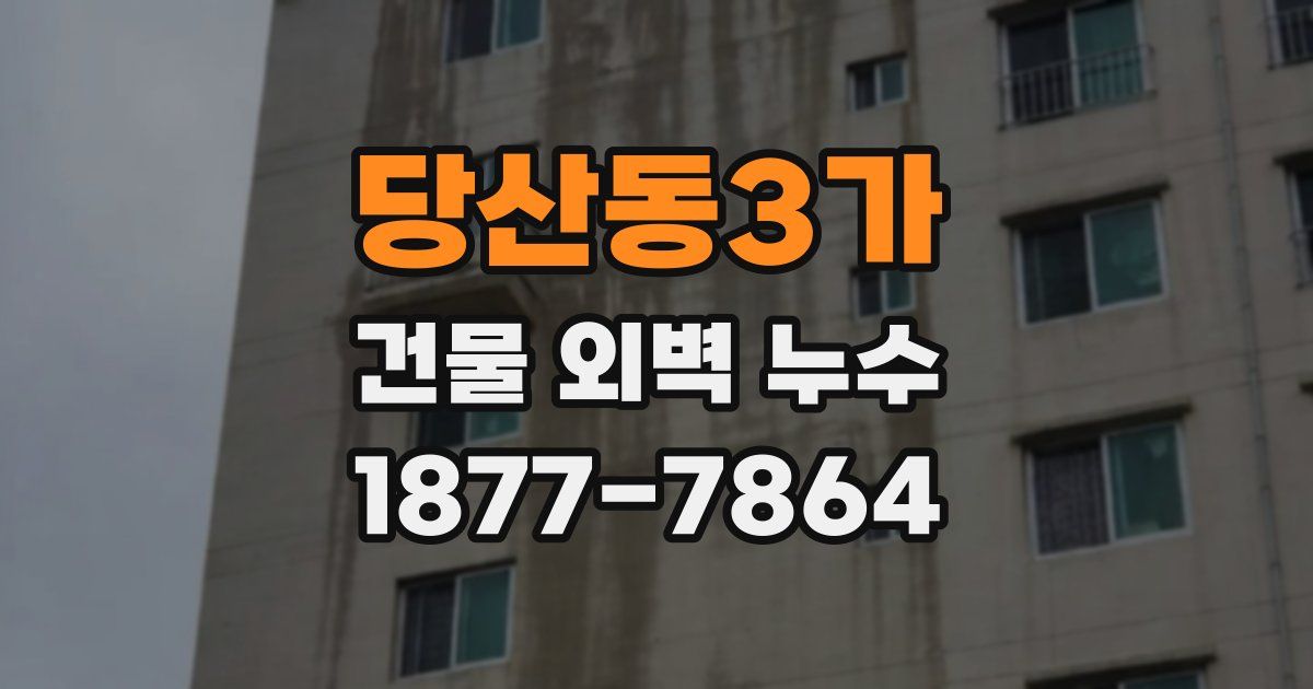 당산동3가 건물 외벽 누수