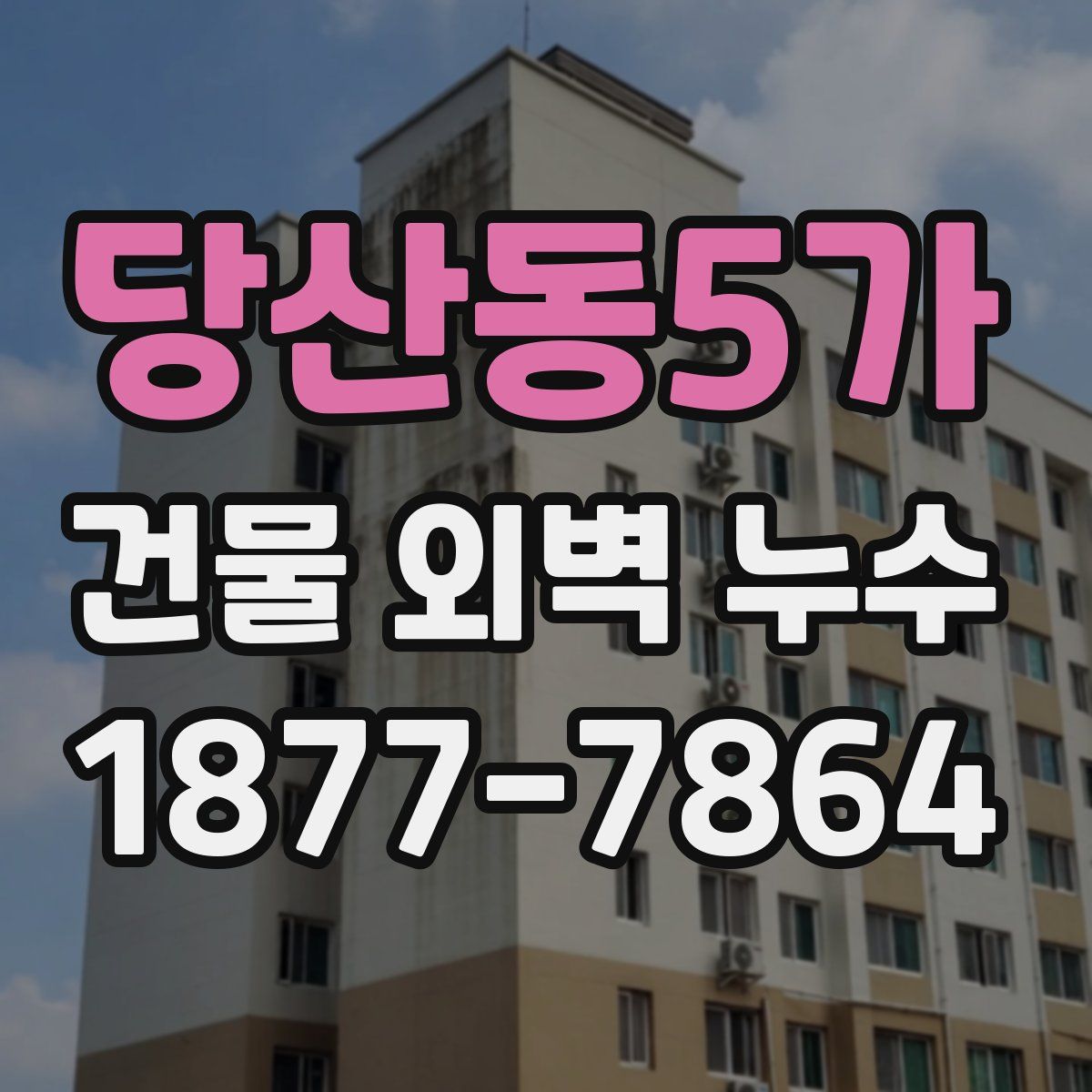 당산동5가 건물 외벽 누수