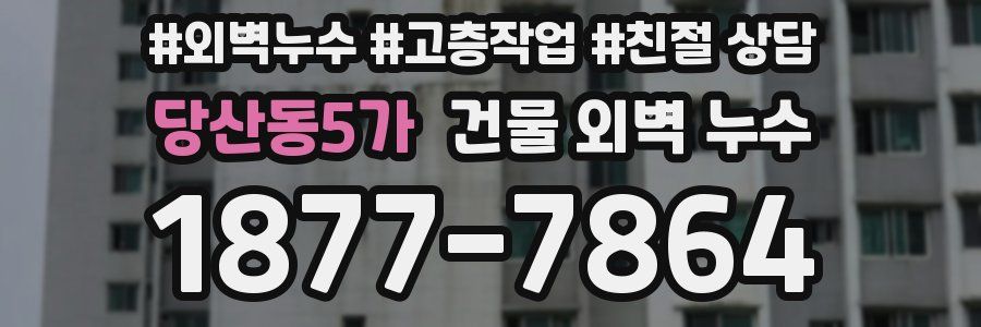 당산동5가 건물 외벽 누수