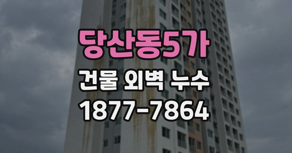 당산동5가 건물 외벽 누수