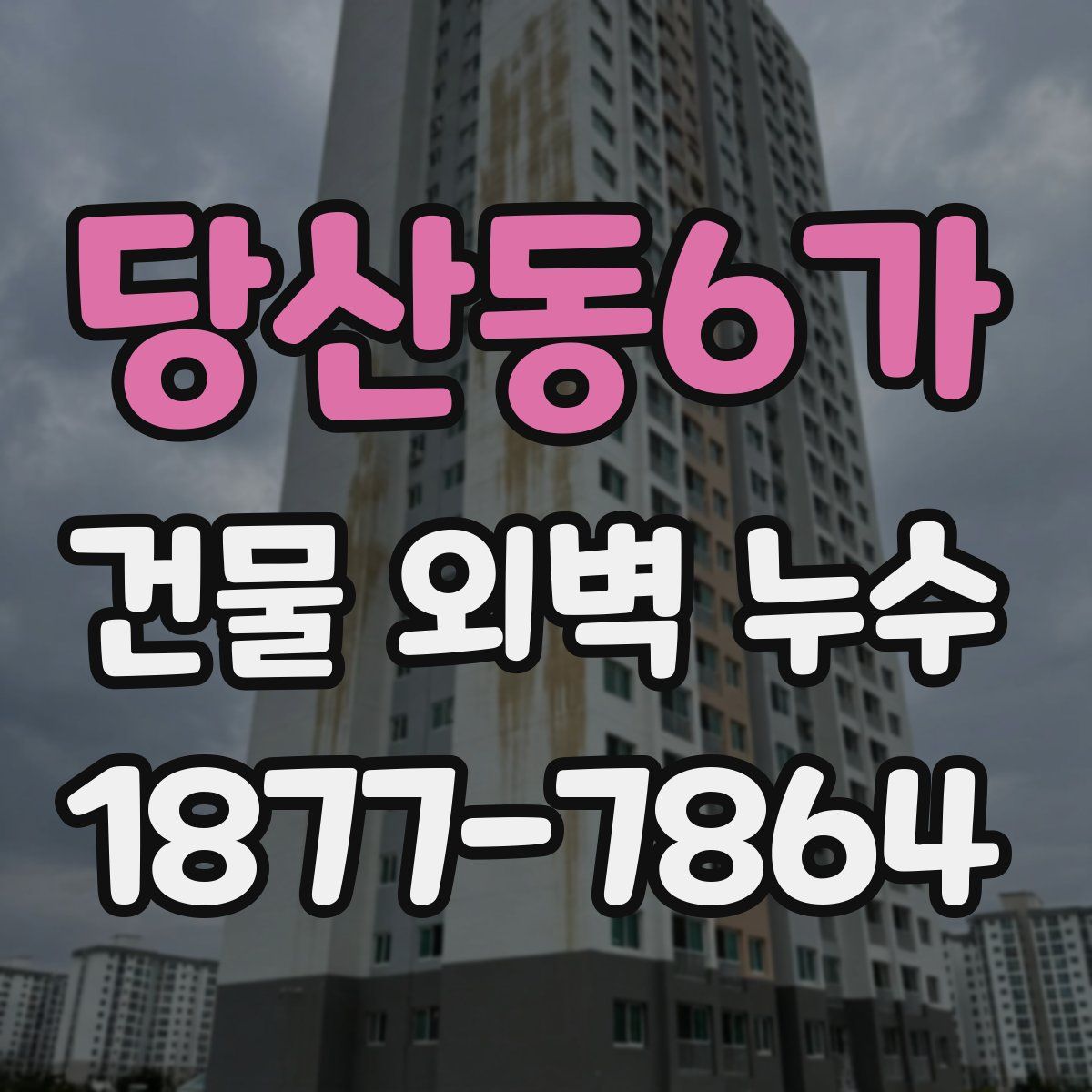 당산동6가 건물 외벽 누수