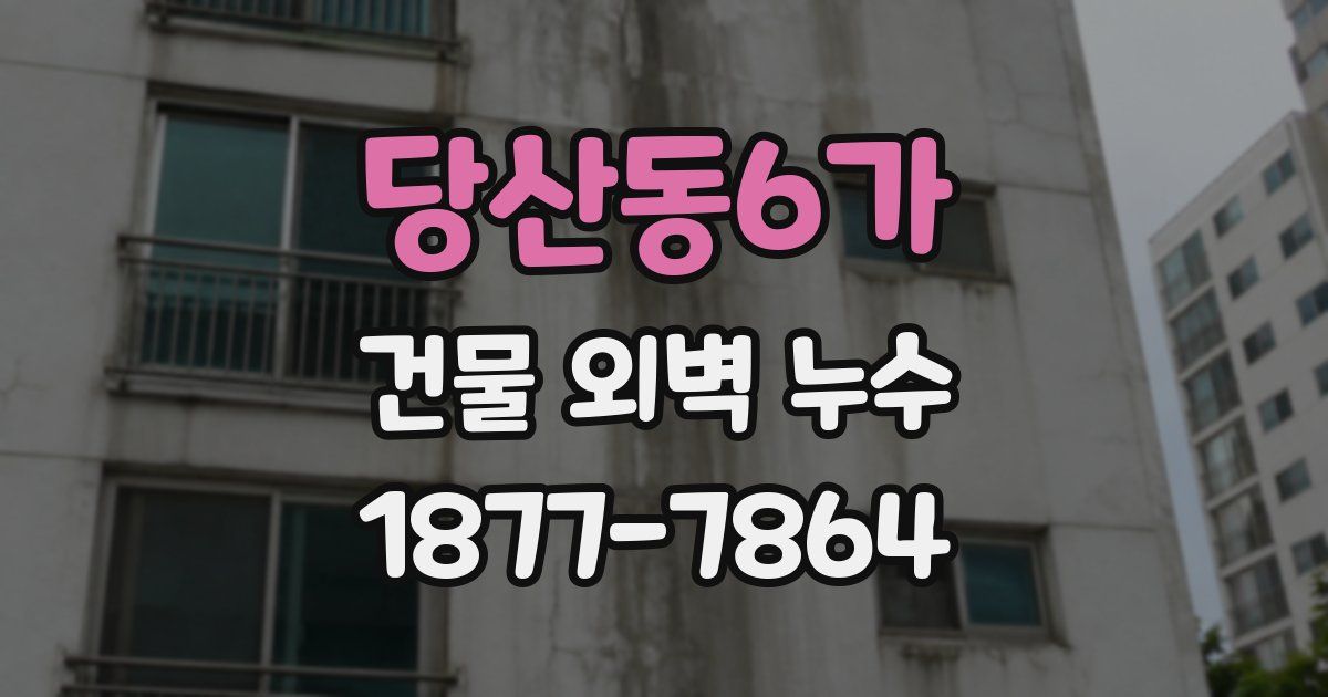 당산동6가 건물 외벽 누수