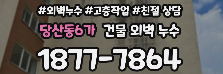 당산동6가 건물 외벽 누수