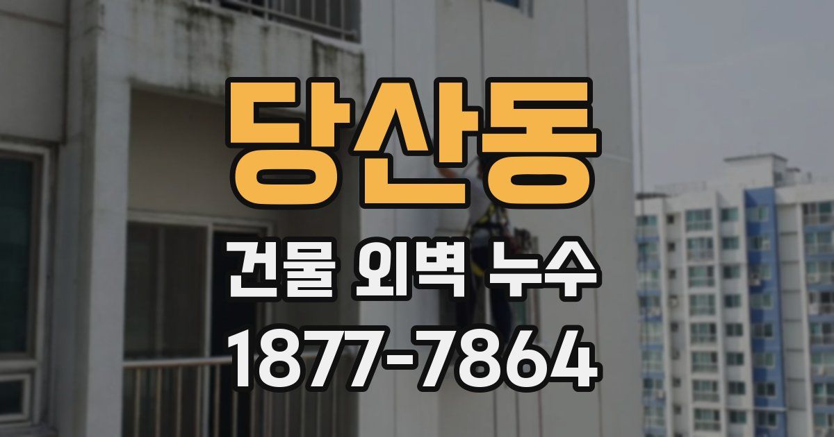 당산동 건물 외벽 누수