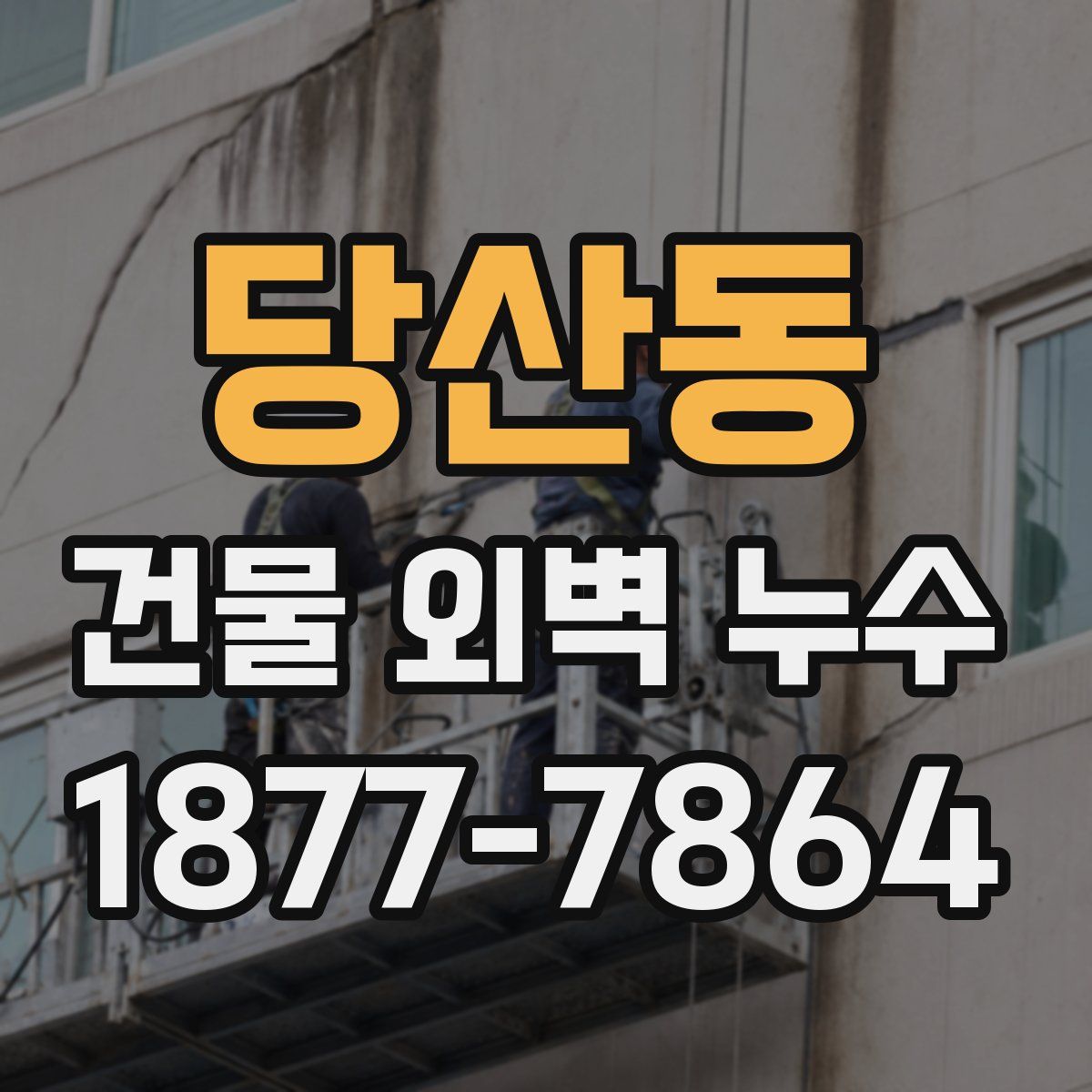 당산동 건물 외벽 누수