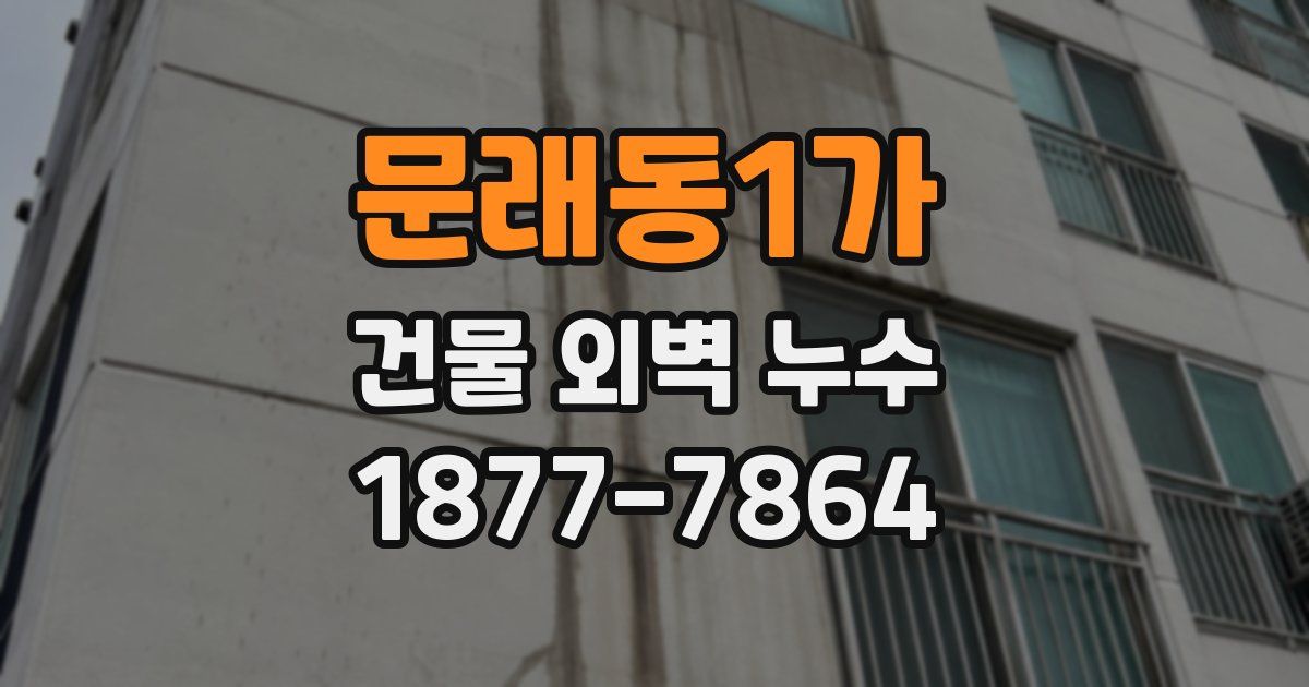 문래동1가 건물 외벽 누수