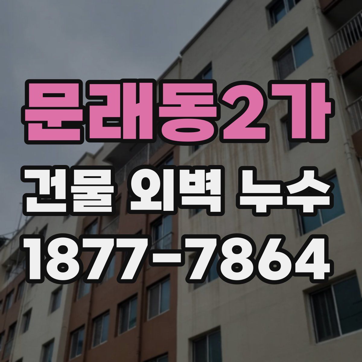 문래동2가 건물 외벽 누수