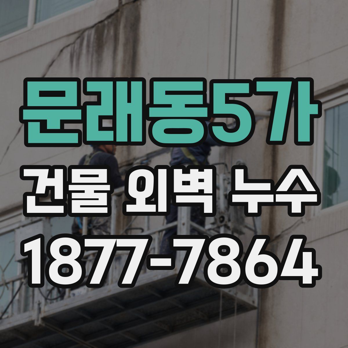 문래동5가 건물 외벽 누수