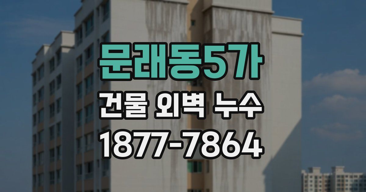 문래동5가 건물 외벽 누수