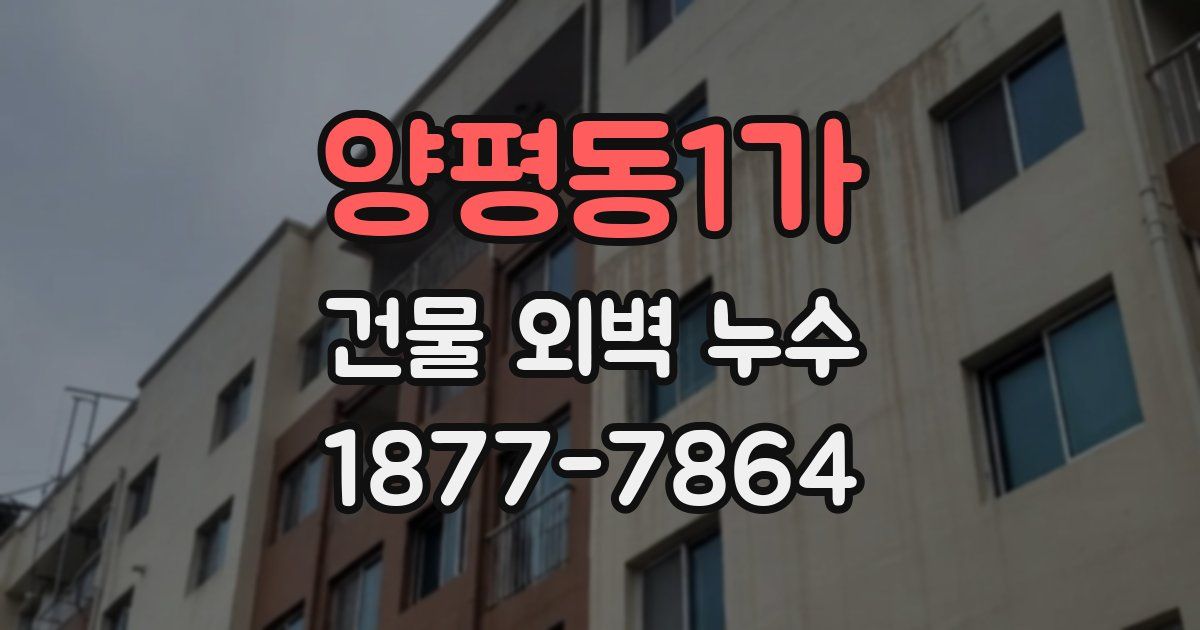 양평동1가 건물 외벽 누수
