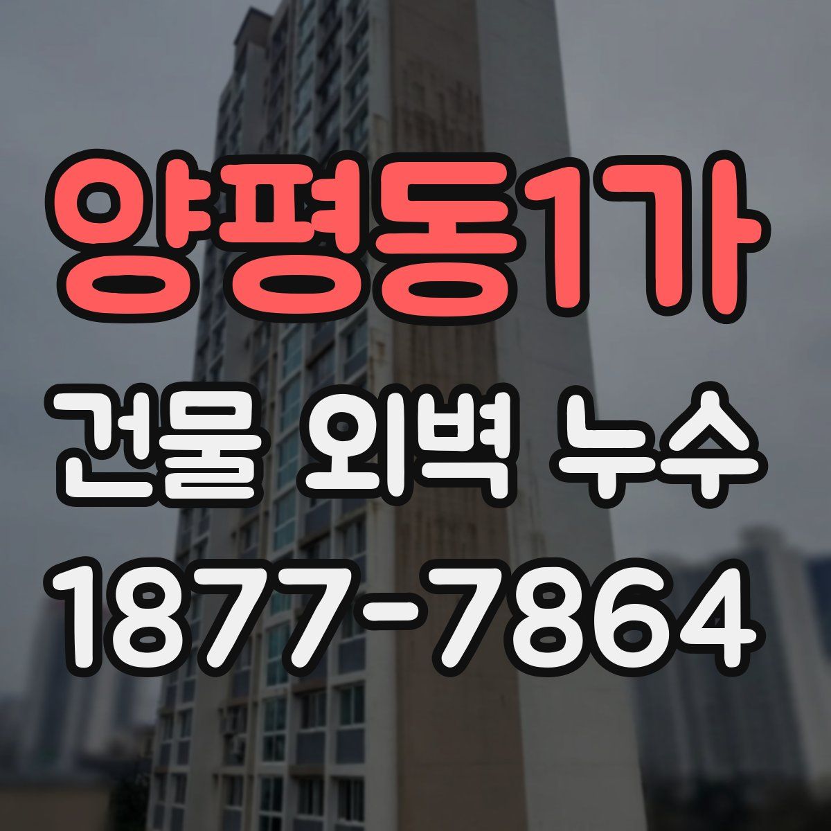 양평동1가 건물 외벽 누수