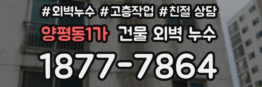 양평동1가 건물 외벽 누수