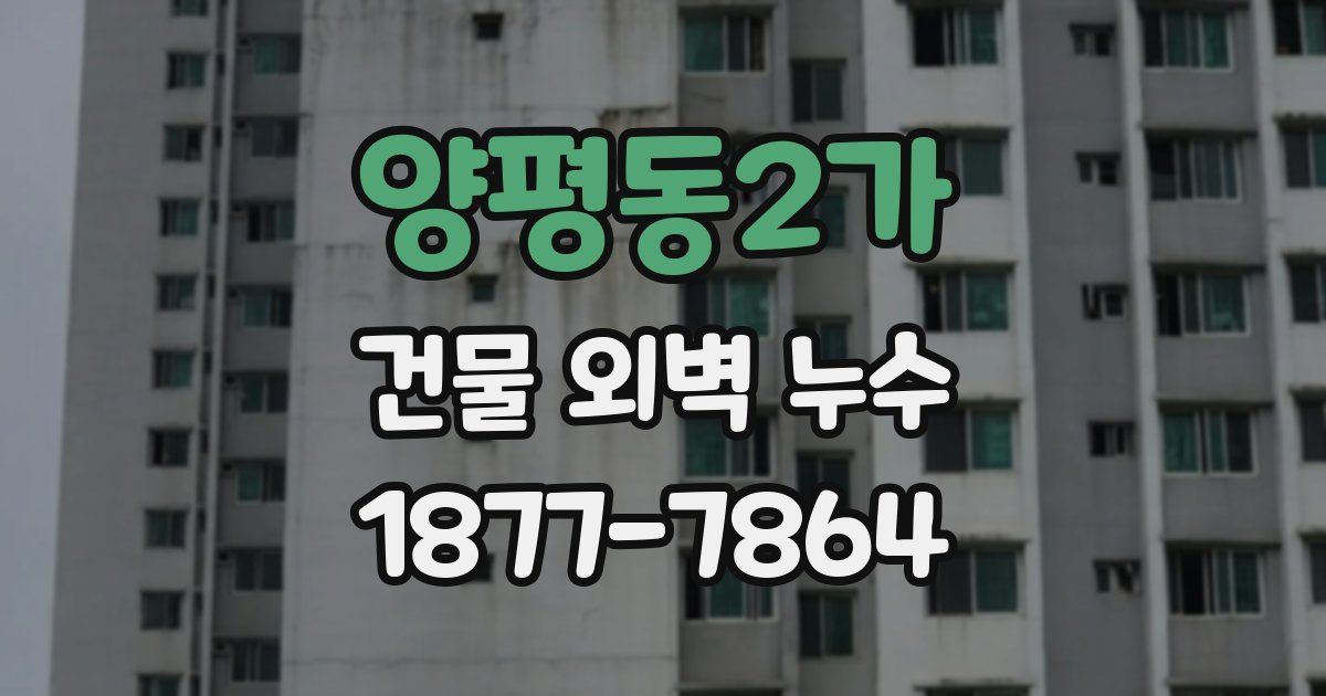 양평동2가 건물 외벽 누수