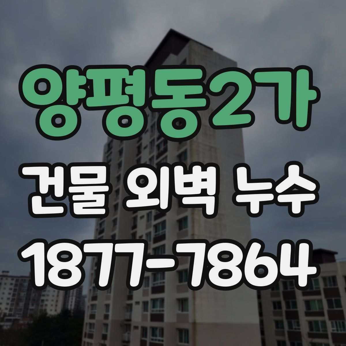 양평동2가 건물 외벽 누수