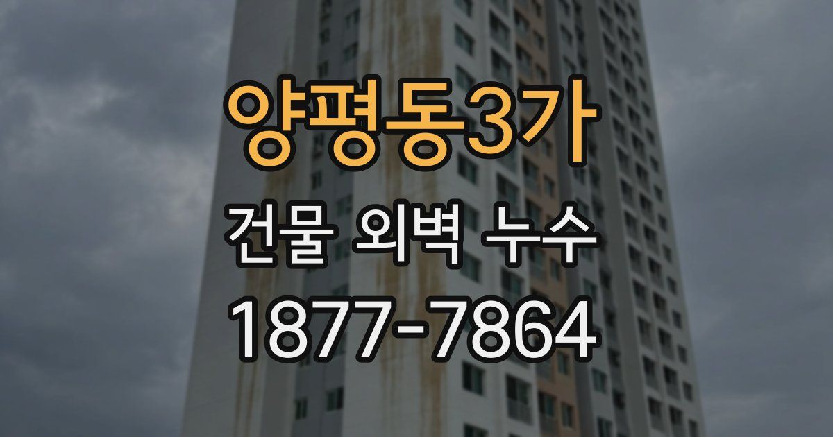 양평동3가 건물 외벽 누수