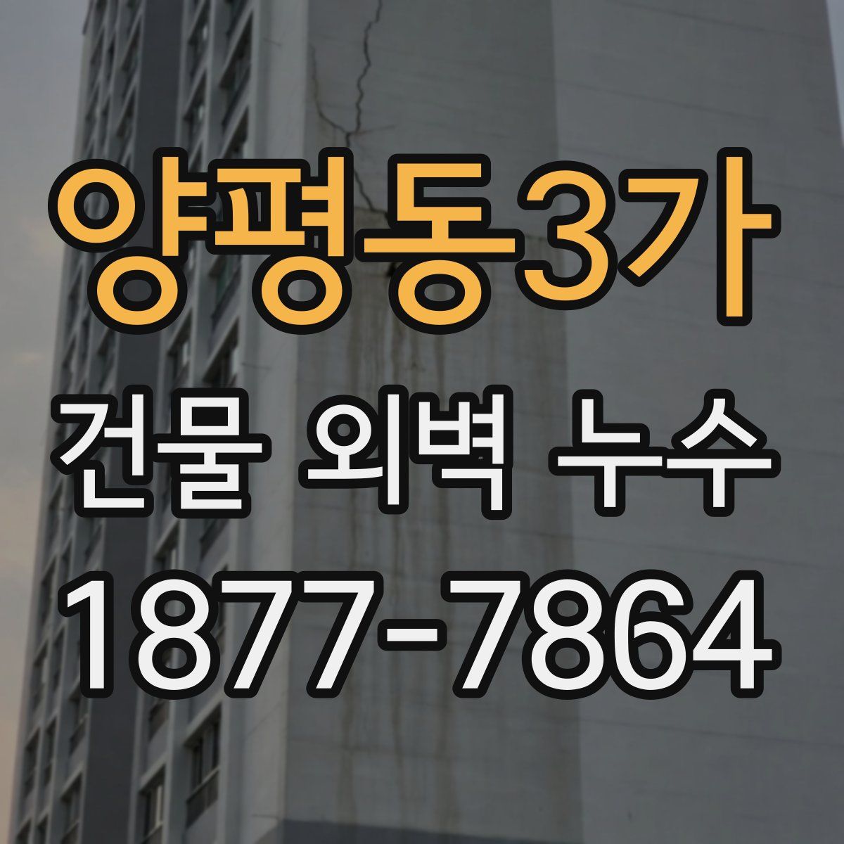 양평동3가 건물 외벽 누수