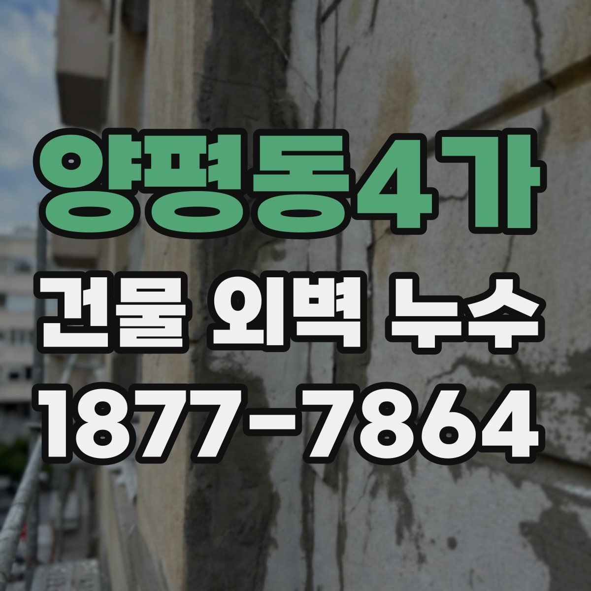 양평동4가 건물 외벽 누수