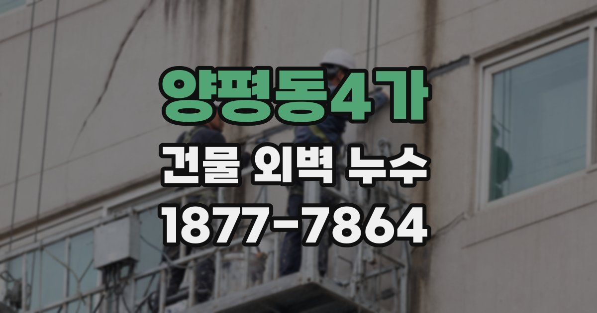 양평동4가 건물 외벽 누수