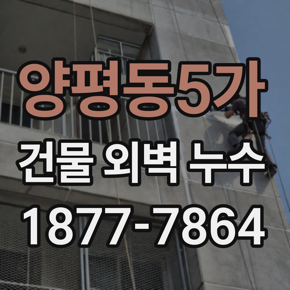 양평동5가 건물 외벽 누수
