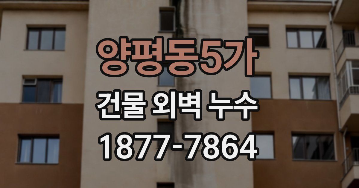 양평동5가 건물 외벽 누수
