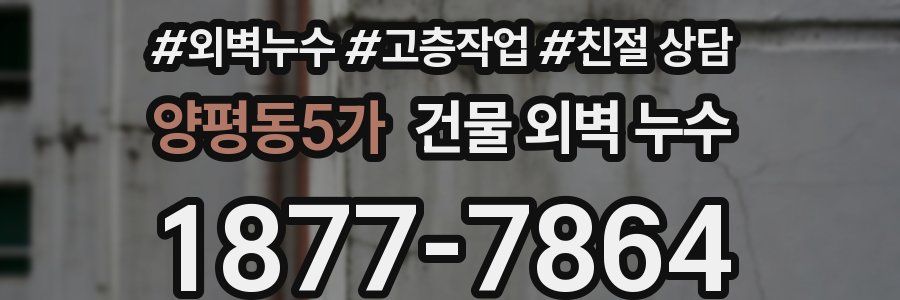 양평동5가 건물 외벽 누수