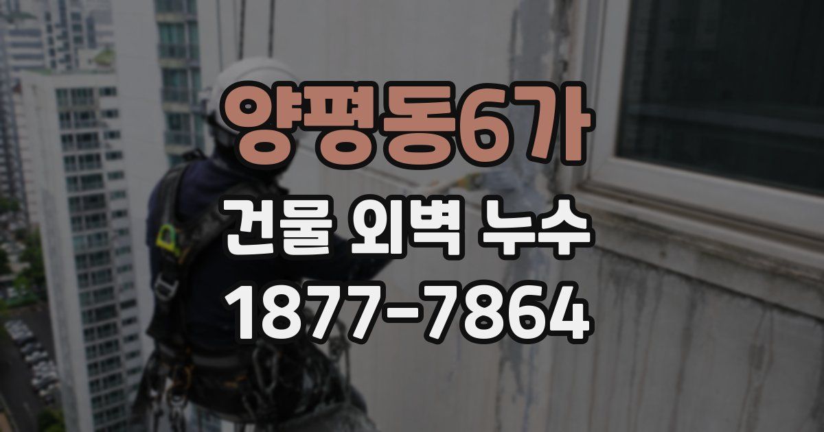 양평동6가 건물 외벽 누수