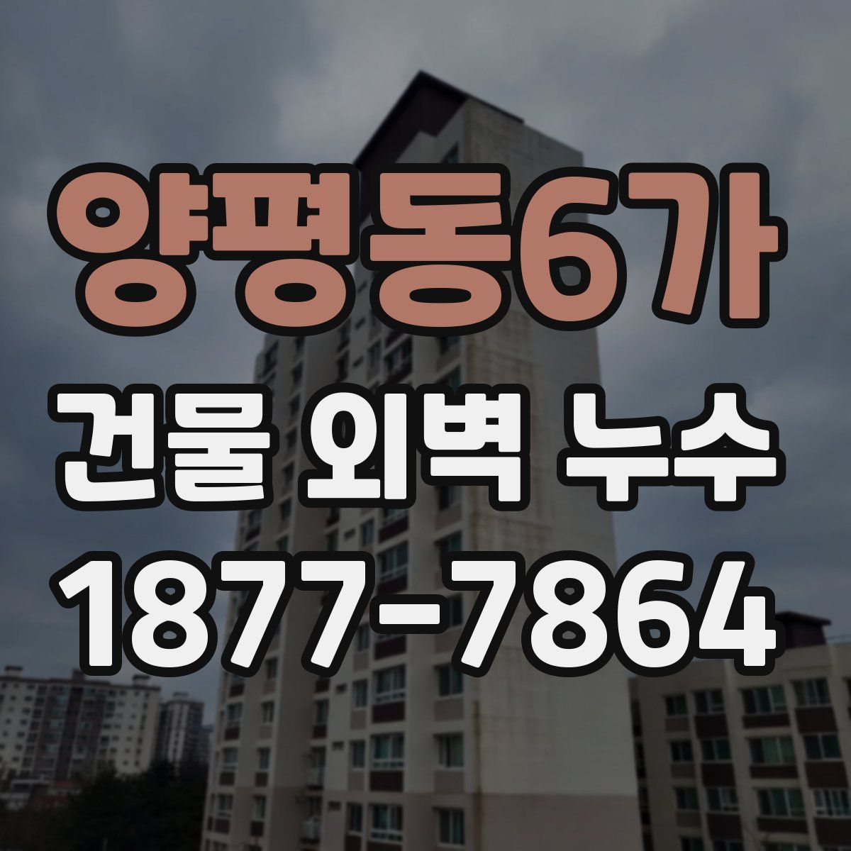 양평동6가 건물 외벽 누수