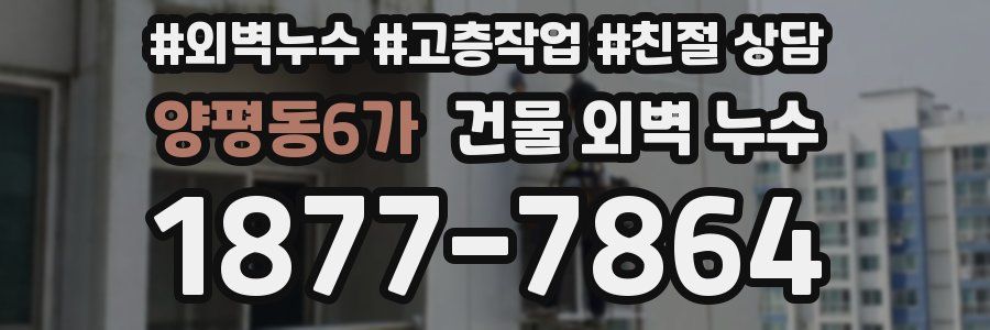 양평동6가 건물 외벽 누수