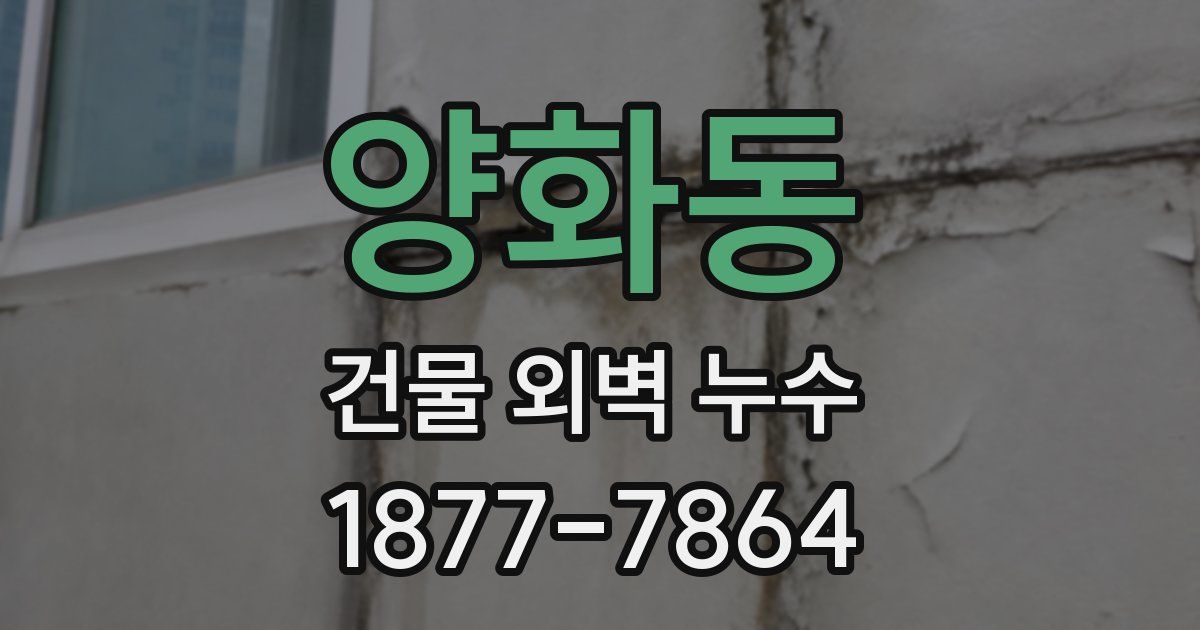 양화동 건물 외벽 누수
