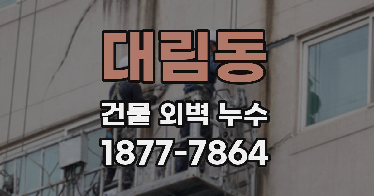대림동 건물 외벽 누수