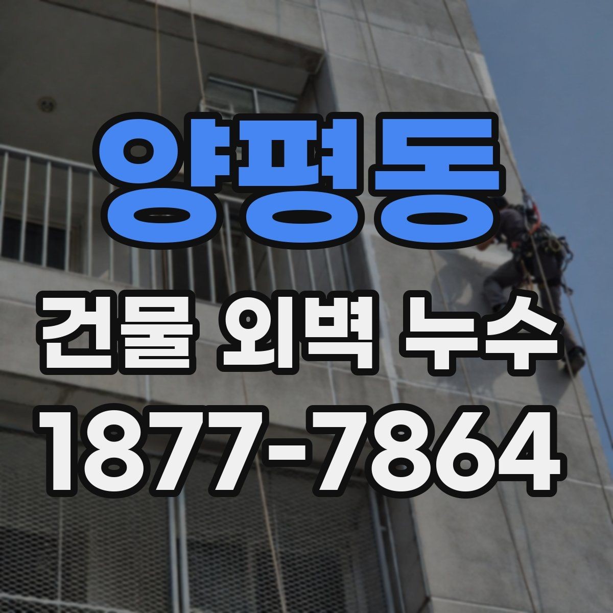양평동 건물 외벽 누수 진단 후 진행되는 작업들