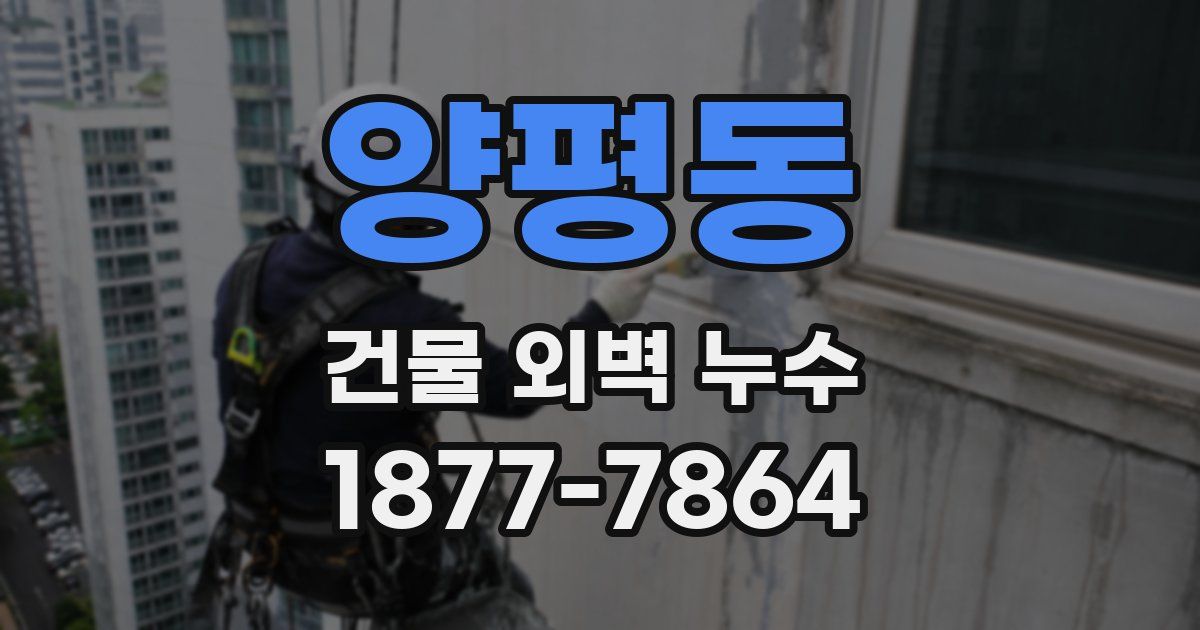 양평동 건물 외벽 누수