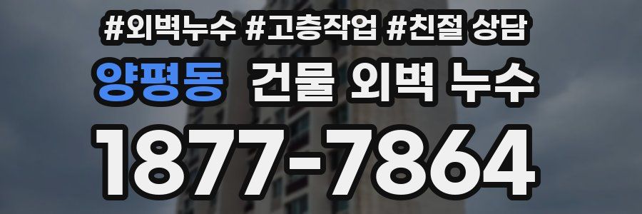 양평동 건물 외벽 누수