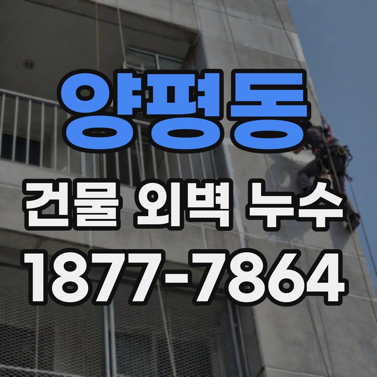 양평동 건물 외벽 누수