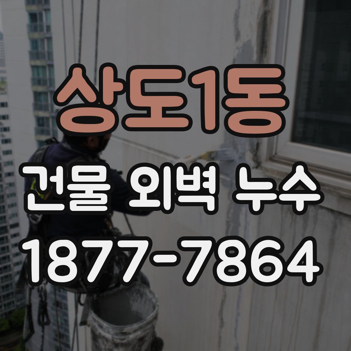 상도1동 건물 외벽 누수