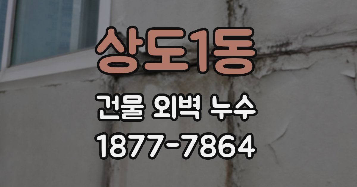 상도1동 건물 외벽 누수