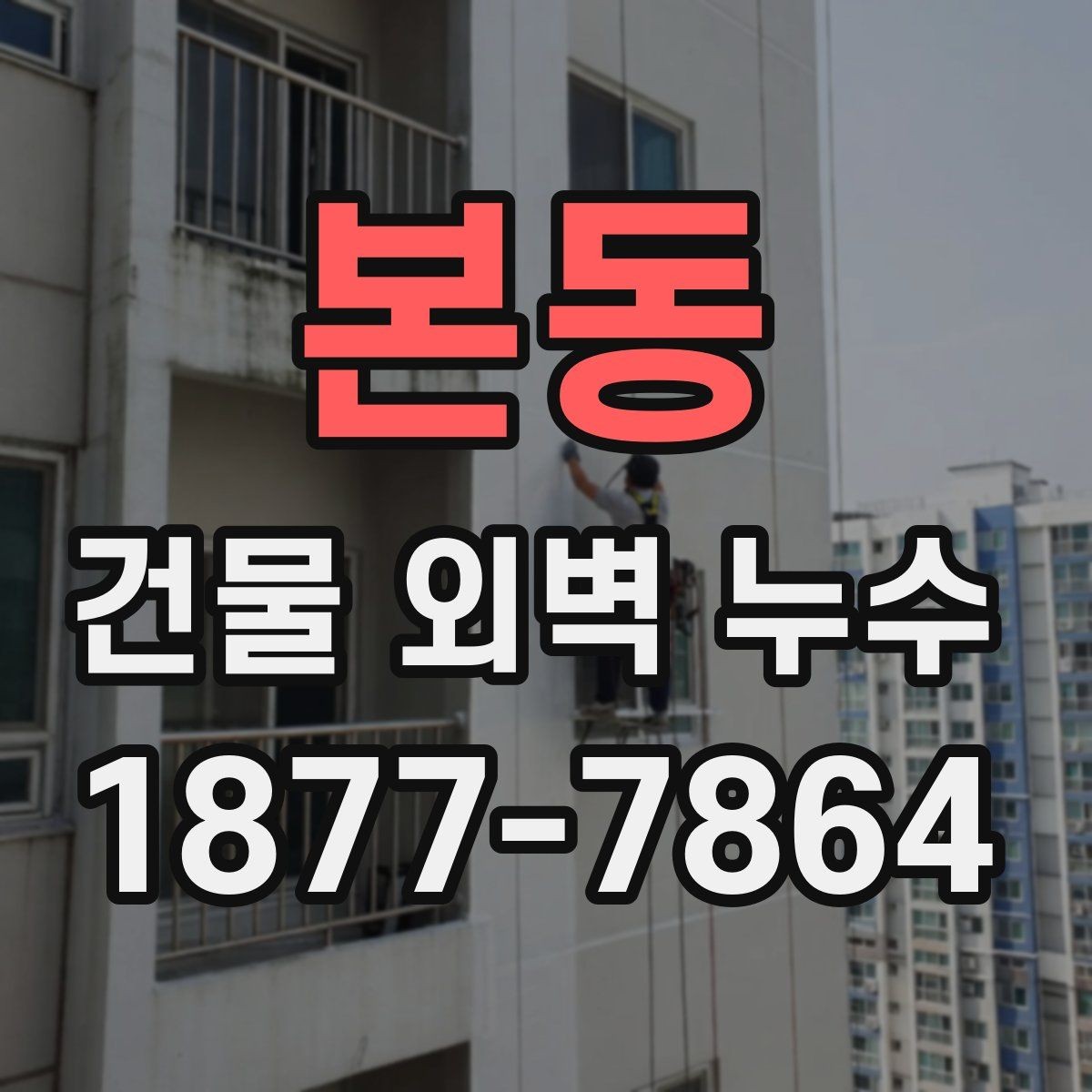 본동 건물 외벽 누수 진단 시 업체에 물어볼 질문