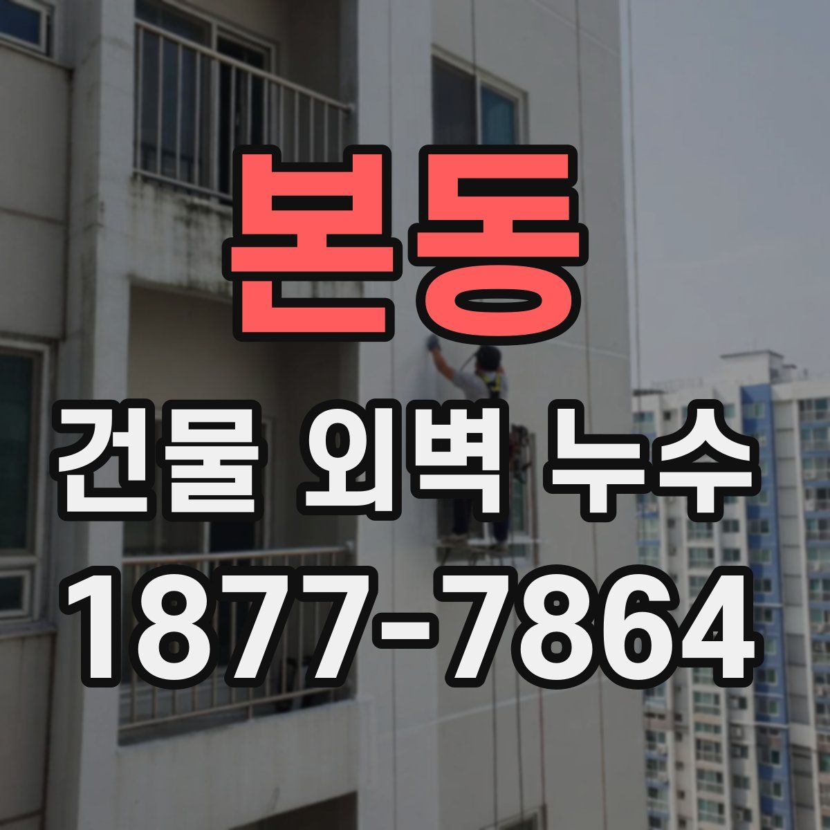 본동 건물 외벽 누수