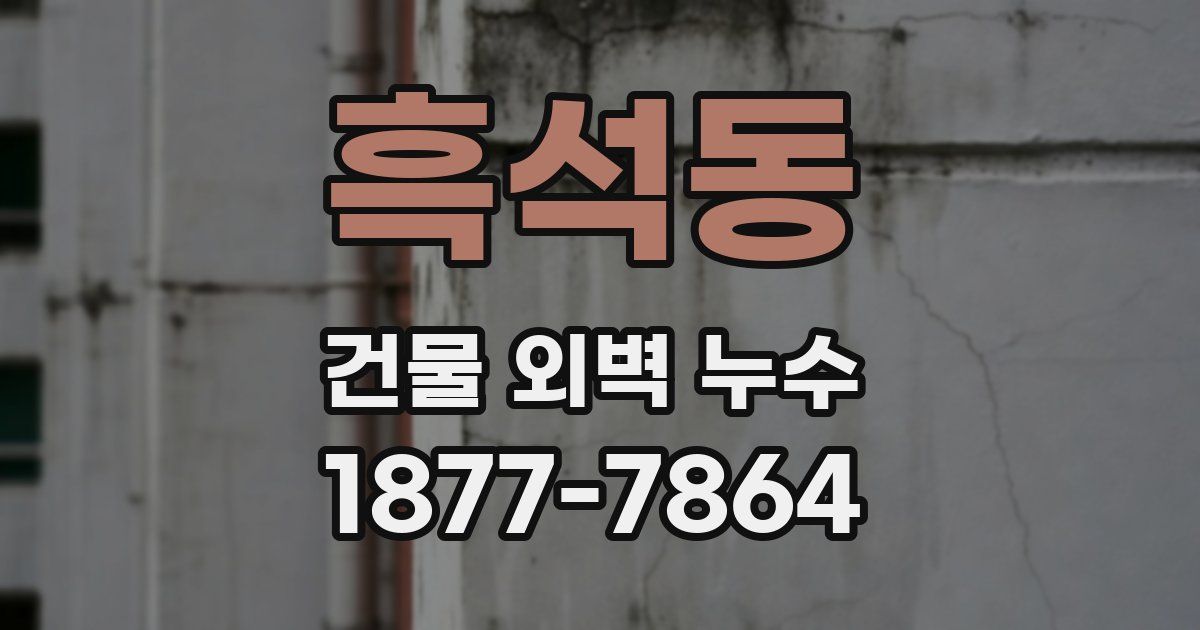 흑석동 건물 외벽 누수