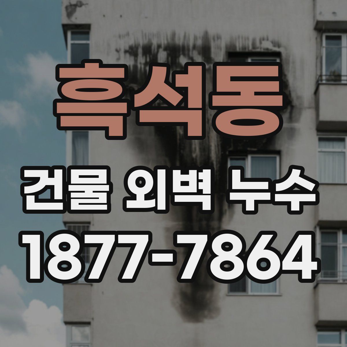 흑석동 건물 외벽 누수