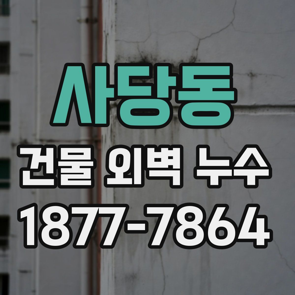 사당동 건물 외벽 누수