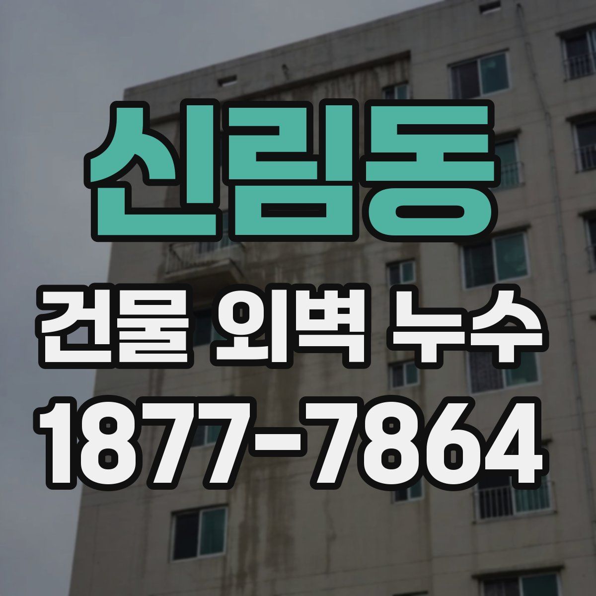 신림동 건물 외벽 누수