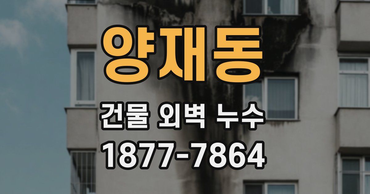 양재동 건물 외벽 누수