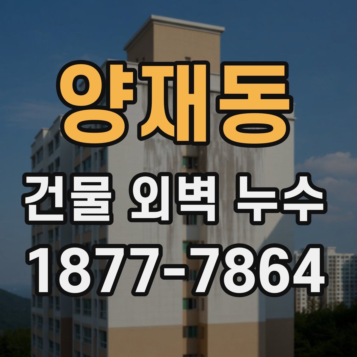 양재동 건물 외벽 누수