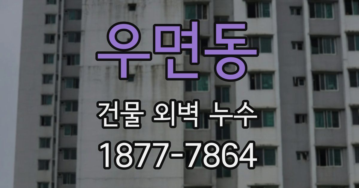 우면동 건물 외벽 누수