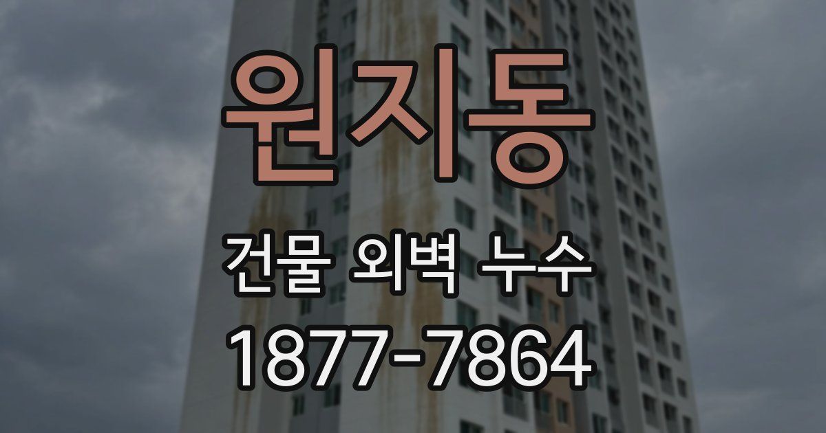 원지동 건물 외벽 누수