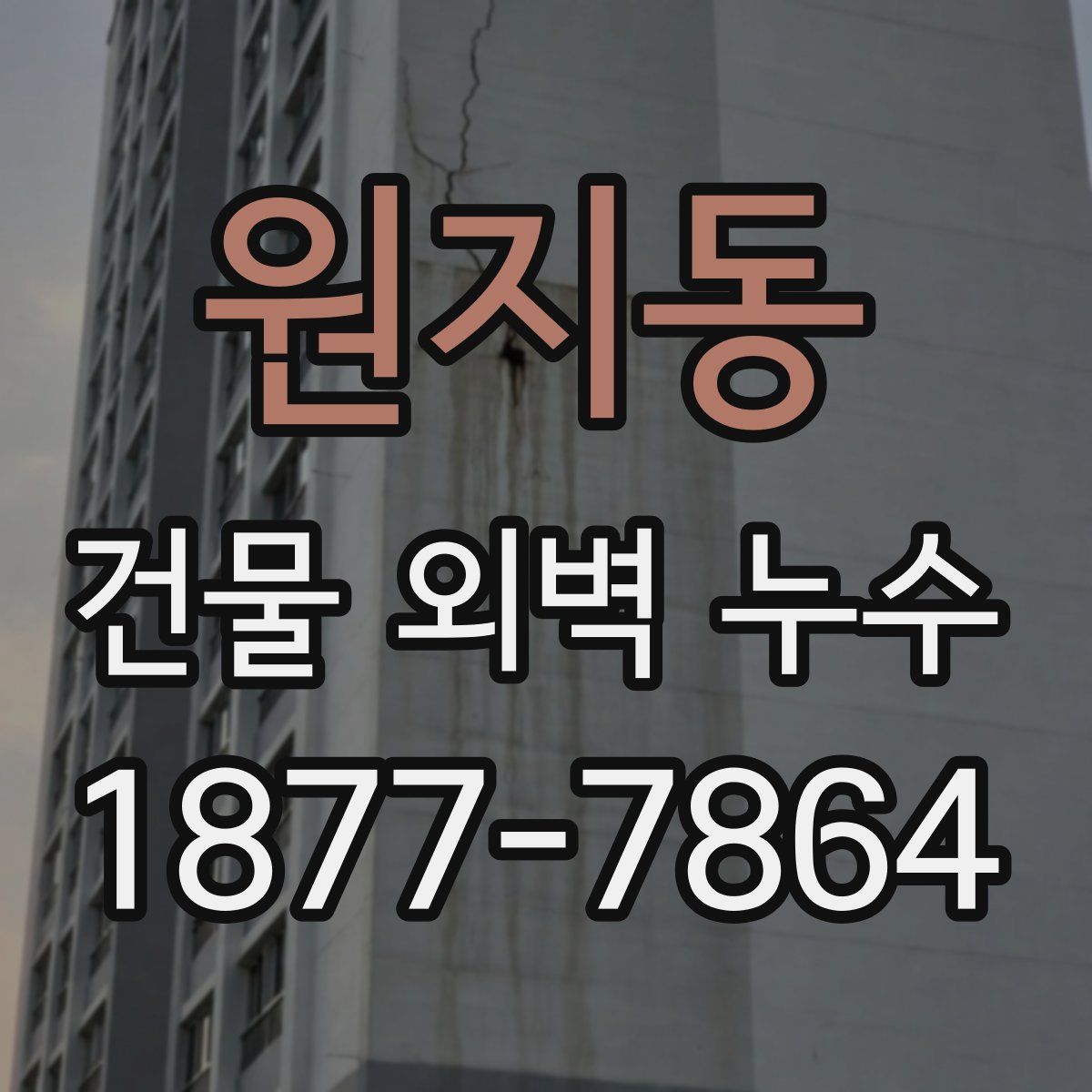 원지동 건물 외벽 누수