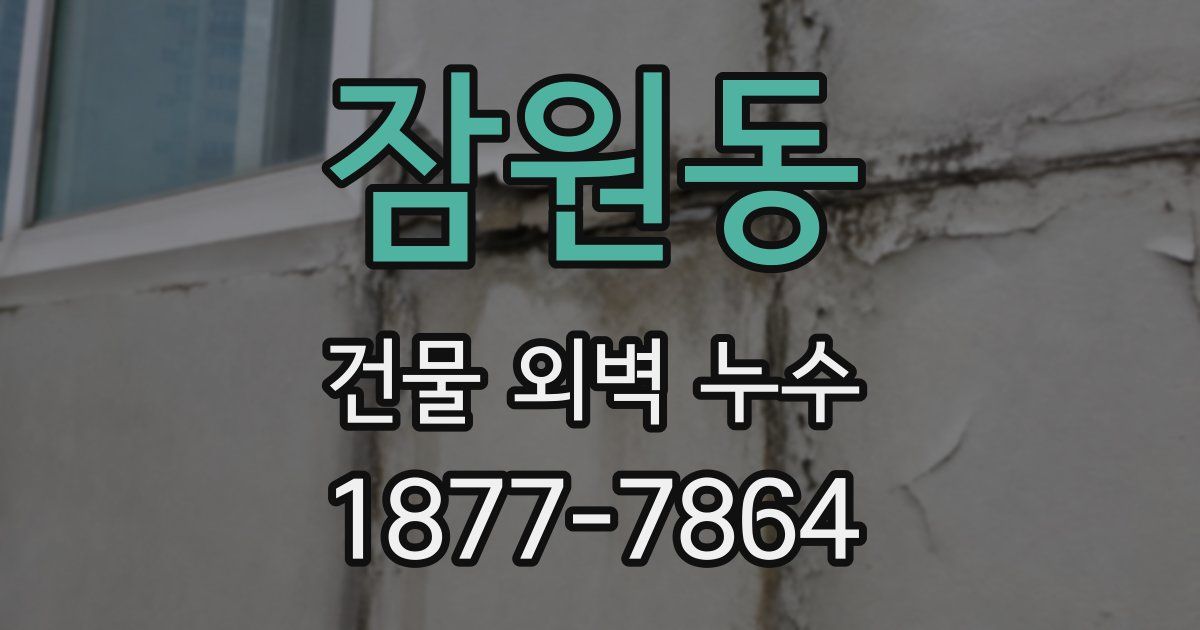 잠원동 건물 외벽 누수